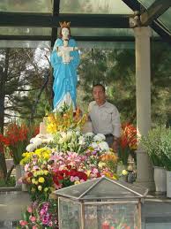 Kết quả hình ảnh cho sao bieenr