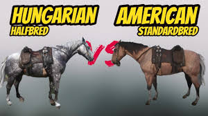 Horses are the main mode of transport in red dead redemption 2. Hungarian Halfbred Vs American Standerbred Red Dead Redemption 2 Youtube