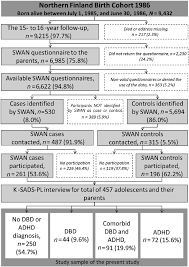 The Chart Of The Participation Flow Note Swan Strengths