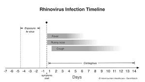 Human rhinovirus (hrv) remains a leading cause of several human diseases including the common cold. Rhinovirus Intermountain Healthcare