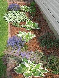 North Side Shade Garden Project On Craftsy Com Shade Garden Plants That Like Shade Shade Plants