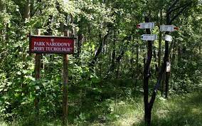 Po borach tucholskich spacerujemy, jeździmy rowerem i ogólnie odpoczywamy na łonie natury, nieskażonej ręką człowieka. Park Narodowy Bory Tucholskie Z Siedziba W Miejscowosci Charzykowy Magazyn Kaszuby