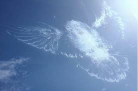 This isn't a bird-shaped cloud. A bird flew into this window and left this  mark. | Scrolller