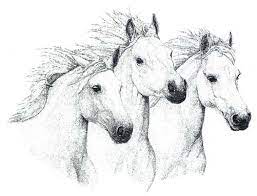 The inspiration of the horse coloring pages varies, such as cowboys, horse stable, indian, imagination, and many more. Pin On Horse Cards