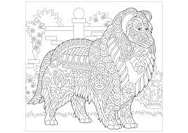 Si vous souhaitez colorier le mandala avec des aquarelles, utilisez du papier aquarelle. Colley A Colorier Chiens Coloriages Difficiles Pour Adultes