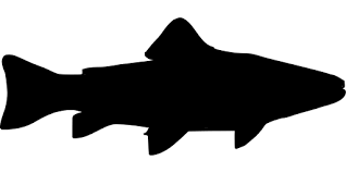 Download Svg Trout Fish Free Svg Image Icon Svg Silh