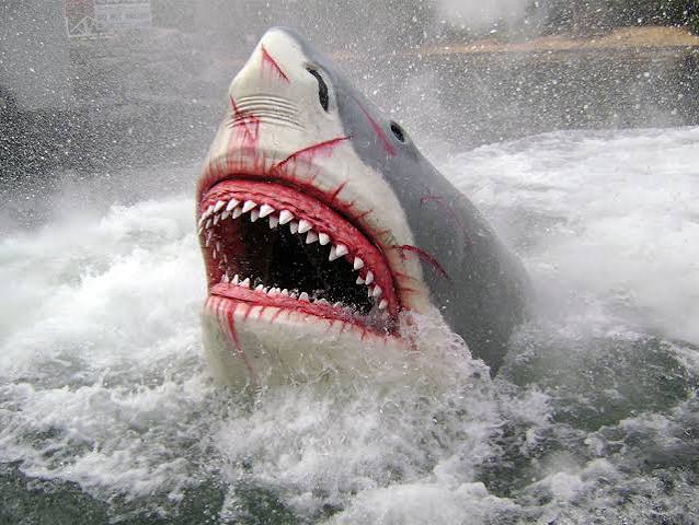 Jaws at Universal Studios Florida: A Legacy Retrospective