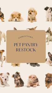 Reel by Ashley Alexandre (@gameofpaws_) · August 31, 2025