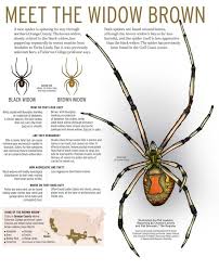 Wind the strongest chains will not bind it, ditch and rampart will not. Hidden Dangers For Mini Pigs Snakes Spiders Mini Pig Info
