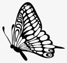 Embed this art into your website clipart butterflies black and white. Mariposa Png Dibujo Flying Butterfly Clipart Black And White Png Image Transparent Png Free Download On Seekpng