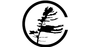 Annamie paul inherits a party that has struggled to make its mark, but she arrives in a period of rapid change, when her party's issues are high on the public agenda. Couchiching Conference Canadian International Council