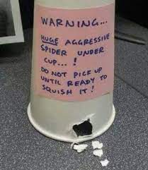 10 Hilarious And Simple Pranks For April Fools Day Office Pranks Pranks Good Pranks