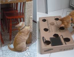 Caixa De Areia Grande Para Gatos Arranhador E Brinquedo Para Gatos Arranhador Para Gatos Caixas Para Gatos Brinquedos Para Gatos