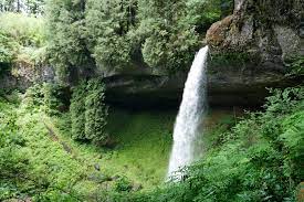 You'll start out at the south falls lodge trailhead. The Trail Of Ten Falls In Oregon S Silver Falls State Park Erika S Travels