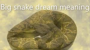 Pin On Dream Snake