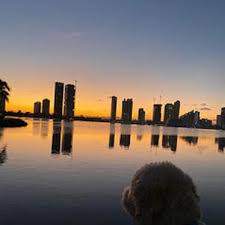 Maybe you would like to learn more about one of these? Mobile Dog Grooming Miami Dog Grooming Mobile Mobile Pet Grooming Near Me