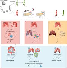 Image result for Dexamethasone