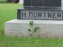 Howard Curtner (1862-1864)