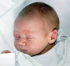 Fotogalerie: Přišli jsme na svět!