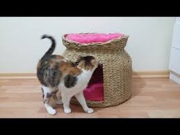 Gazeteden Hasir Kedi Evi Yapimi Cat House Geri Donusum Youtube Kedi Evi Kedi Kediler Ve Yavrulari