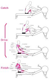 Page Not Found Rowing Machine Workout Rowing Workout Gym Workout For Beginners