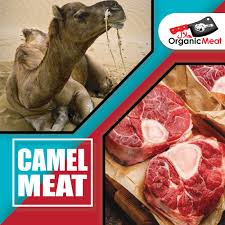 Camel meat (name?) thread starter roymalika. Camel Meat Organic Meat