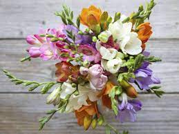 The Bouqs S New Same Day Floral Delivery Service Is The Perfect Last Minute Gift Freesia Flowers Flower Arrangements Flowers Bouquet