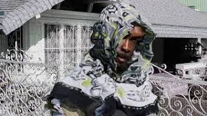 Jpegmafia Free The Frail Feat Helena Deland Audio Youtube
