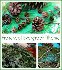 If you are looking for free resources and activities for hanukkah, you can check out my blog post by clicking on the picture below. 10 Evergreen Tree Activities For Preschoolers Fun A Day