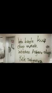 Iste Boyle Kus Olup Ucmak Isterken Agac Olup Kok Saliyoruz Can Yucel Ozlu Sozler Duvar Alintilar