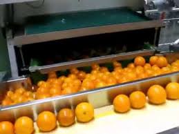 Orange juice aroma, as a term generally used in this section on packaging, includes all the volatile compounds of orange juice flavour. Industrial Freshly Squeezed Orange Juice Machine Youtube