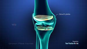 Image result for Growth Plate