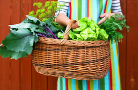 5 Essential Tips For Vegetable Gardening In The Pacific