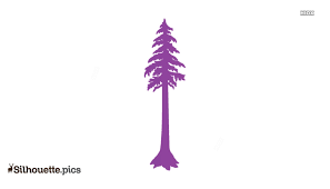 Large png 2400px small png 300px 10% off all shutterstock plans with code svg10 share. Biggest Redwood Tree Silhouette Image And Vector Silhouette Pics