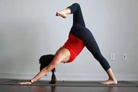 Последние твиты от three dog yoga (@threedogyoga). How To Do Three Legged Downward Facing Dog Pose Doyou Yoga Bewegungen Yoga Posen Fur Anfanger Sup Yoga