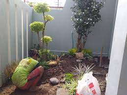 Daftar harga paving block per meter bulan agustus 2021. Harga Pembuatan Taman Di Surabaya Harga Pembuatan Taman Vertikal Vertikal Garden Murah Di Surabaya Jasa Pembuatan Taman Murah Garden Style