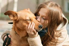 Is It Ok To Kiss Your Dog On The Head It Depends Dogdorable Over 1 kiss dog posts sorted by time, relevancy, and popularity. is it ok to kiss your dog on the head