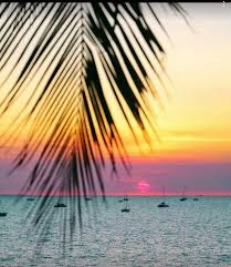 Pin By Liliana Canchola On Sun Sand And Surf Scenery Ocean Scenes Beach Photos