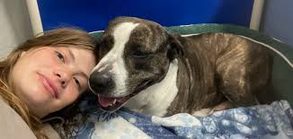 Open Door Animal Sanctuary...