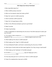 Conceptually, dna structure and replication worksheet are an understanding moderate for training pupils memory on classes learned in the classroom. Dna Replication Worksheet Answers Promotiontablecovers
