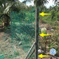We did not find results for: Pemasangan Pagar Reban Ayam Kampung