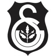 Beşiktaş logosu 3 yıldızlı logo png (transparan) versiyon (512 x 512 px) 3 yıldızlı logo jpg (beyaz zemin) versiyon (512 x 512 px) Istanbul United Brands Of The World Download Vector Logos And Logotypes