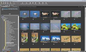 It can also directly view heic/heif files on windows directly. 13 Free Alternatives Image And Photo Organizer For Microsoft Windows 10