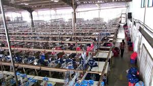 Maybe you would like to learn more about one of these? Pt Dodo Activewear Membuka Lowongan Operator Sewing