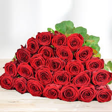 9 rote rose strauß 25.30 €. 25 Rote Rosen Im Bund Blumenversand Bluvesa De Blumen Online Verschicken