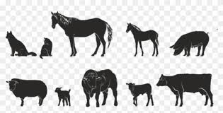 Dive into these fun cloverbud activities. Picture Of 4 H Animals Animal Agriculture Png Clipart 5071503 Pikpng