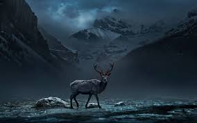 Image result for digital art desktop wallpaper