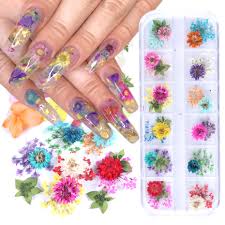 We did not find results for: Dry Flowers Nail Art Accessories Real Dried Flower Leaf Stickers 3d Nail Decorations Uv Gel Polish Slices Manicure Tool Laf01 10 Best Price F8f37 Goteborgsaventyrscenter