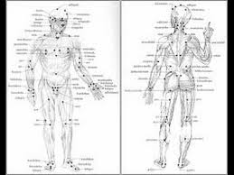 64 Punctual Human Body Pressure Points