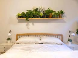 Check spelling or type a new query. How To Decorate Your Bedroom With Plants Live Enhanced